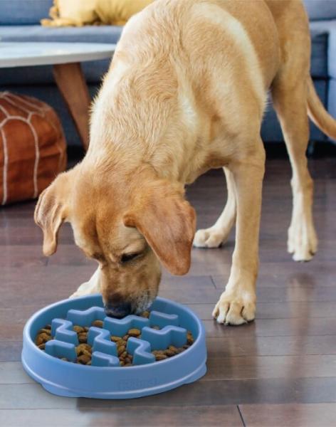 Outward Hound Fun Feeder Slo Bowl Blue Gr. L
